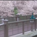 天真爛漫さだけが残った「君の膵臓をたべたい」