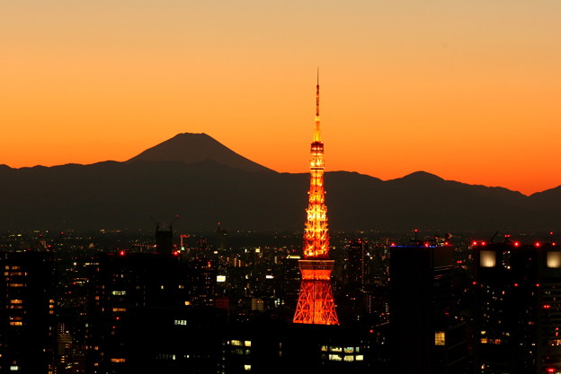 訪日,東京タワー