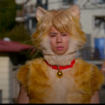 新種の入れ替え作品「トラさん~僕が猫になったワケ」