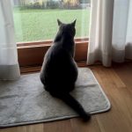 仕事中のサボり予防。スマホの見張り番