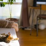 憧れたテレワークが不評だって
