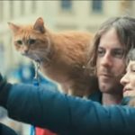 飼い猫が愛おしくなる「ボブという名の猫」