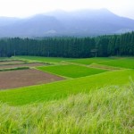 もはや生活インフラ。アリババ農村支店
