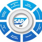 成功事業を否定する勇気。SAP